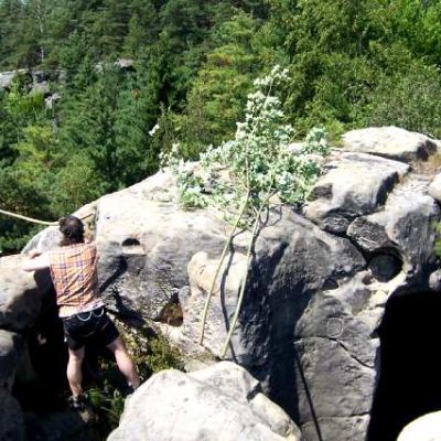 Opravy a údržba hradu - Likvidace náletových dřevin na hradní věži 07/2006